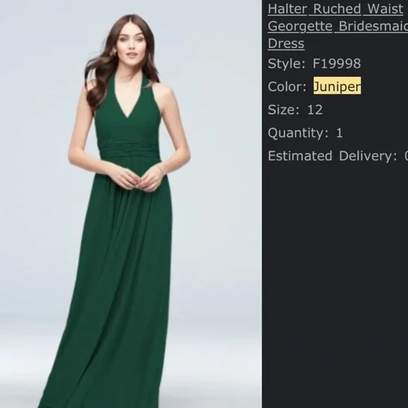 David’s Bridal Georgette Ruched Halter Bridesmaid Dress - Picture 5 of 5